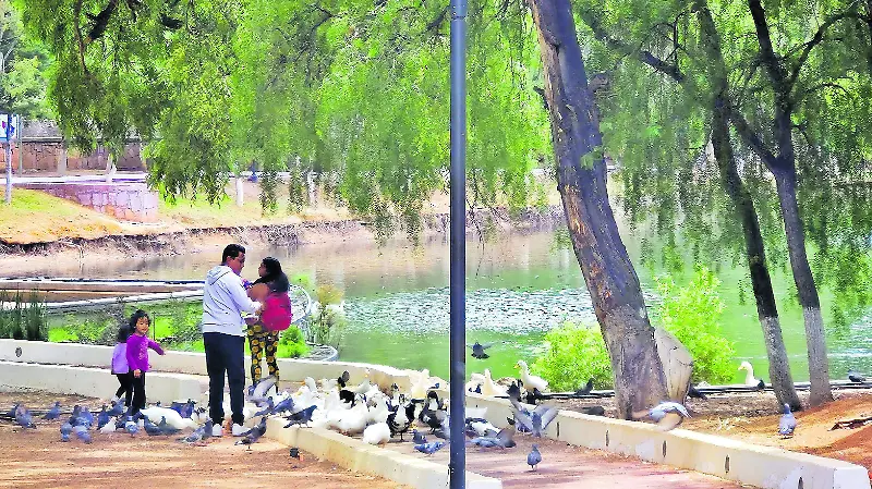 Parque y Zoológico La Encantada en Zacatecas